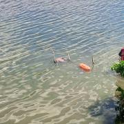 Localizaron muerto a pescador desaparecido en Los Tacarigua