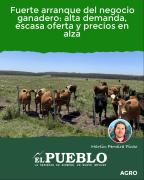 Fuerte arranque del negocio ganadero: alta demanda, escasa oferta y precios en alza ‣ Martin Ferreira Pinto