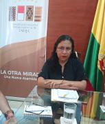 Califican de atentado contra Tarija nuevas tarifas del transporte aéreo