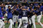Magallanes y Caribes se enfrentarán en la Gran Final de la LVBP