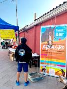 Fundaciones animalistas traerán caballos quemados desde el sur para rehabilitar