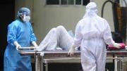 OMS: ‘bajo’ riesgo, pero vigilancia por virus Nipah en Asia