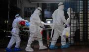 OMS: “bajo” riesgo, pero vigilancia por virus Nipah en Asia