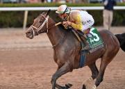 Cerca de $50 millones: La Pegasus World Cup impone récord de apuestas en su décima edición