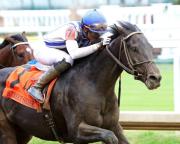 Edición 37 del Holly Bull Stakes (G3): Incredibolt busca sumar 20 puntos a su cuenta en la ruta para el Kentucky Derby