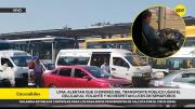 Lima: alertan que choferes de transporte público usan celular al volante y no respetan luces de semáforos