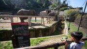 Zoológico del Parque Metropolitano vuelve a abrir sus puertas: Las entradas son gratuitas y debes reservarlas