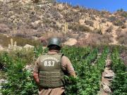 Millonaria incautación de más de 60 kilos de droga