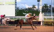 De valer nada a producir millones: La asombrosa coincidencia de estos ganadores de la Pegasus World Cup