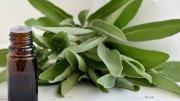 El aceite de salvia posee variados beneficios y es un potente relajante muscular