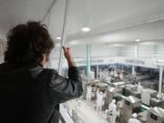 Milei estiró su gira en Mar del Plata: visita a una fábrica, show con Fátima Florez y arenga en el Derecha Fest