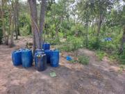 Hallan dólares y municiones de grueso calibre en avioneta boliviana siniestrada en Paraguay