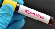 La India rebaja la alarma por el virus Nipah y confirma 196 pruebas negativas de contactos