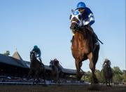 La pelea no se detiene: El Jockey Club responde tajante a Mike Repole con un comunicado