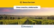 San Juan: ya tiene la línea de créditos para cosecha y acarreo con tasa subsidiada