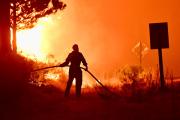 Incendios en la Patagonia: el posible decreto del Gobierno para declarar la emergencia