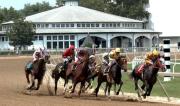 Laurel Park inicia la temporada de Stakes para potros de tres años el sábado