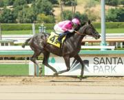 ¡Agarre dato, morocha imbatible! Un grupo parejo se presenta en el San Pasqual S (G2) el sábado en Santa Anita