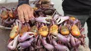 Cangrejo en Guayaquil: ¿Desde cuándo inicia la veda y dónde comprar más barato?