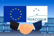 Después de 40 años, el Mercosur es más relevante que nunca, por Miriam Gomes Saraiva