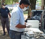 Alerta en Azul por ocho perros que murieron envenenados: Vecinos y el municipio fueron  a la Justicia