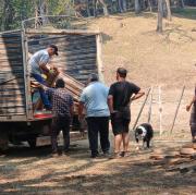 Chubut bajo fuego: médicos, veterinarios y vecinos que ponen el cuerpo frente a los incendios