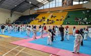 Baños y Ambato con Taekwondo Internacional 