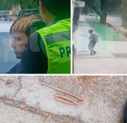 Un preso intentó fugarse en el Polo Judicial cuando iban a imputarlo y dos policías terminaron lesionados