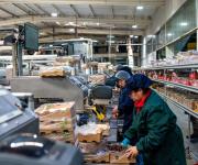 El desempleo en Chile llega a 8,0% en trimestre móvil, según cifras del INE