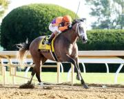 ¡Un giro inesperado! Ted Noffey no continuará en la Ruta al Kentucky Derby (G1) por estos detalles