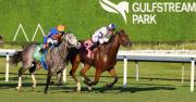 Pista rápida y cronos destacados: Lo mejor de los ejercicios matutinos del jueves en Gulfstream Park