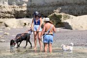 Nos da mucha paz: La Rinconada, la playa pet friendly de Las Grutas elegida por quienes viajan con mascotas