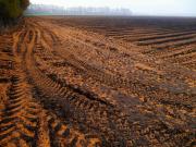 ¿Paraguay 2.0 en Bolivia?