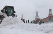 [Fotos] La capa de nieve en Moscú alcanza los 62 centímetros