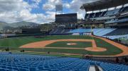 Béisbol de alto nivel sin costo: confirman acceso gratuito a la Serie de las Américas