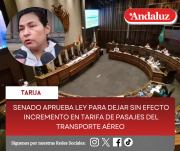 Senado aprueba Ley para dejar sin efecto incremento en tarifa de pasajes del transporte aéreo