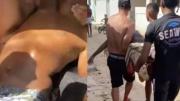 Un tiburón atacó y mató a un adolescente de 13 años en una playa