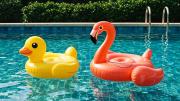 Cuánto salen los inflables para la pileta en 2026: alternativas, precios y características