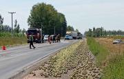Un camión volcó su carga de pera y frenó la Ruta 22: dos accidentes con heridos cerca de Allen
