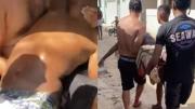 Conmoción en Brasil: un tiburón atacó y mató a un adolescente de 13 años en una playa