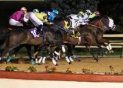 El clima vuelve a ganar en Charles Town: Carreras suspendidas este sábado 31 de enero