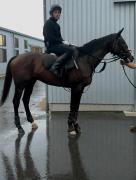 ¿Cuál será el próximo destino de Luis Fontes Jr. tras su paso por el hipismo japonés?