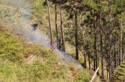 Temporada seca eleva el riesgo de incendios forestales y exige mayor prevención
