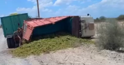 Un camión con uvas volcó en Sarmiento: en video, así terminó la mercadería