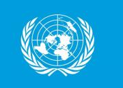 ONU y una crisis financiera insostenible