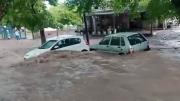 Tormentas intensas azotan Mendoza: inundaciones, caída de árboles y cortes de energía