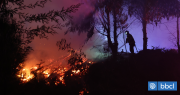 Declaran Alerta Roja en Lonquimay por incendio forestal cercano a Reserva Nacional Nalcas