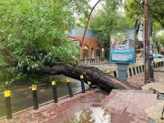No hubo muertos por la inusual tormenta y Defensa Civil informó casi 400 intervenciones
