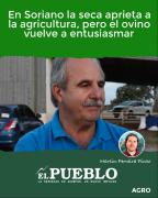 En Soriano la seca aprieta a la agricultura, pero el ovino vuelve a entusiasmar ‣ Martin Ferreira Pinto