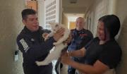 Bomberos de Valencia rescatan a un gato atrapado en una reja